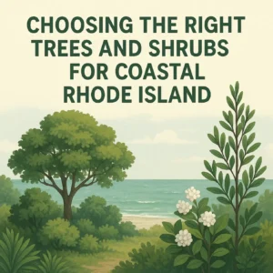 choosing the right trees and shrubs for coastal rhode island