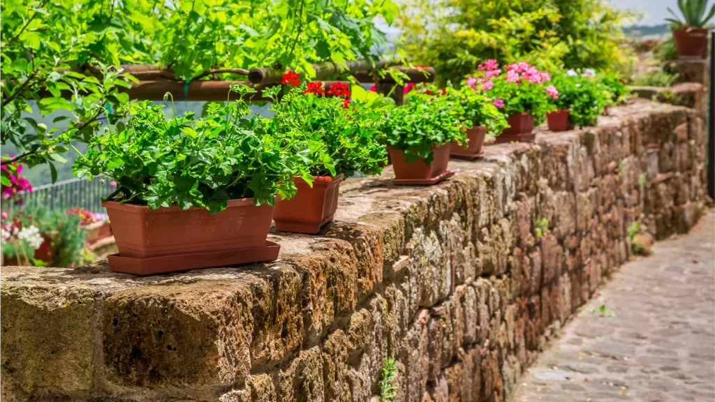 the best hardscaping near me build your dream yard